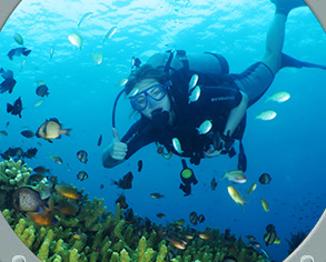 Dive Bali  with SDD Dive Center