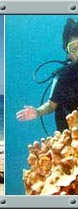 Dive Center Bali